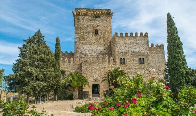 Visita guiada Castillo Ducal de Espejo