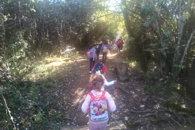 IMG_20181029_111819-810x540