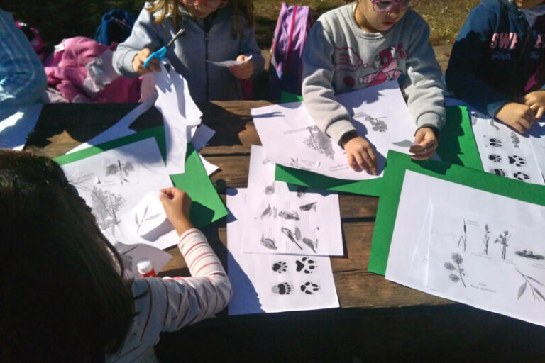 IMG_20181029_130010-810x540