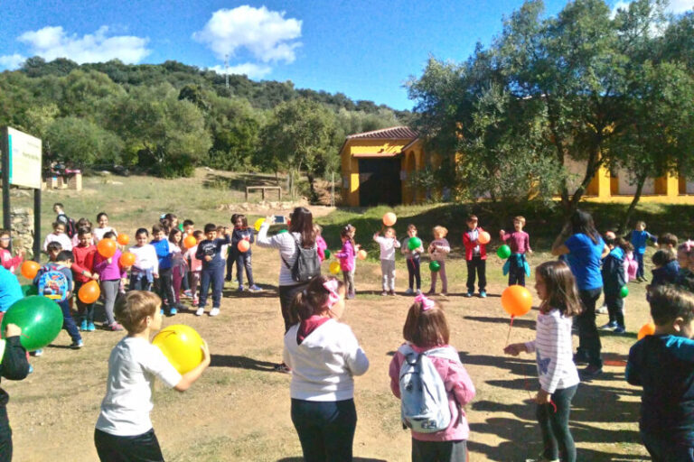 IMG_20181029_133450-810x540