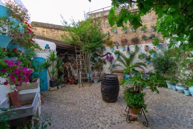 Visitas Culturales en Córdoba para grupos Educativos