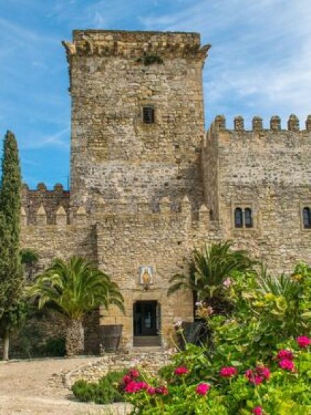 Castillo-Ducal-Espejo_1677743324_156956466_667x375 (2)